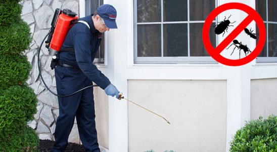 Akdağmadeni Tahtakurusu İlaçlama böcek ilaçlama ve haşere kontrolü — ilaclama-tr.com